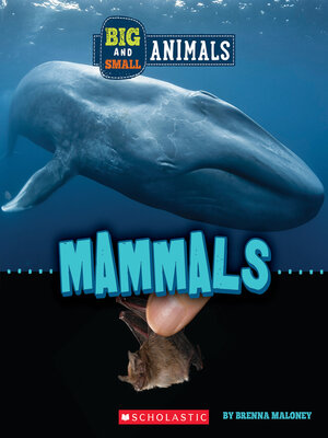 cover image of Mammals (Wild World